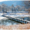 계절따라 이미지