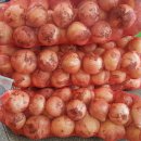 신토불이건강원 이미지