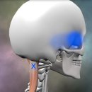 경희유엔한의원 이미지