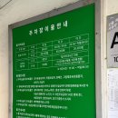 화곡본동시장 티스토리