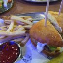 투비어스 이미지