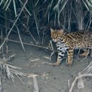 본초한의원 이미지