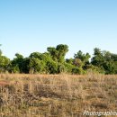 구지농장 이미지