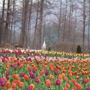 현천주유소 이미지