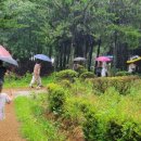 시티투어 이미지