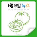 (주)코리아세븐 야당유니점 | [푸디뉴스] 1월 9일 식품업계 뉴스 클리핑