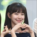 백지헌 카카오 검색결과