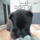 원동재로 이미지