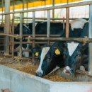 중간말농장 이미지