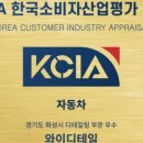 와이디테일