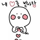 양구초등학교 이미지