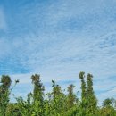 오렌지펜션 이미지