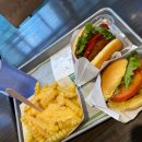 문’s도넛 이미지