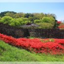 황토마을힐링센터 이미지