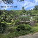 늘푸른소나무공인중개사사무소 | [가평 전원주택 매매] “기업 오너의 별장 같은 집! 가평 제령리 전원주택 118평, 토지 2361평 ”/ 가평...
