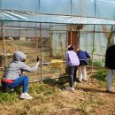 봉오초등학교 이미지