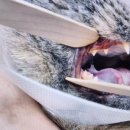 (주)뉴트리온 이미지