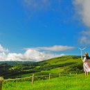 선호목장 이미지