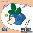 [임신7주-8주] 임신초기 하혈 원인 피고임, 눕눕 처방, 태아보험 가입, 분만병원 라움산부인과로 결정...
