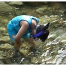 소백산 남천야영장1 이미지