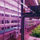 메트로 통신 이미지