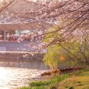 은파호수공원 9-1 이미지