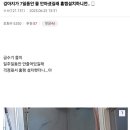 강아지가 7일동안 물 안마셨길래 홈캠 설치하니깐.. 이미지