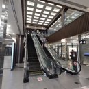 포레온새싹약국 이미지