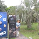 제주커피박물관 바움 이미지