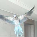 오석헌동물병원 이미지