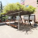 샤인공인중개사사무소 이미지