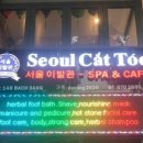 성별이발관
