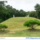 성사동 권희선생묘 이미지