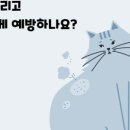 상암동물병원 이미지