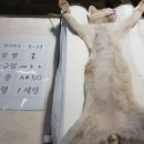 소정안길 이미지