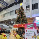 GS 강릉홍제점 | 2박3일 겨울 강릉여행기 첫째날~둘째날 (다원닭갈비/하이오션경포/메밀골동해막국수/강릉 런닝맨/카페...