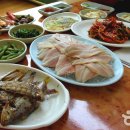 야채선수