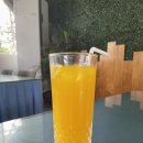 보홀 가성비 숙소 추천 | 단비리조트 | 내돈내산 후기