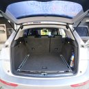 호야켄넬 이미지