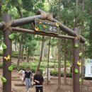 내원정사 옆 이미지