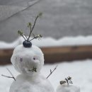생선구이&삼겹살