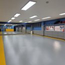 최강웅비태권도 이미지