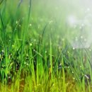 눈편안세상 이미지