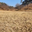 신양농장 이미지