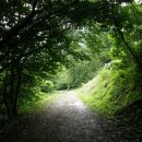 상관 공기마을 편백숲 이미지