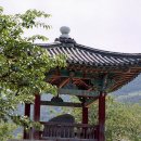척경비로 이미지