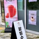 스노우인더보울