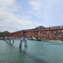 빨간다리 이미지