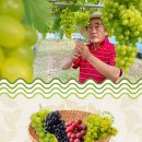 고창농장 이미지