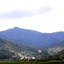 순천-65호 이미지